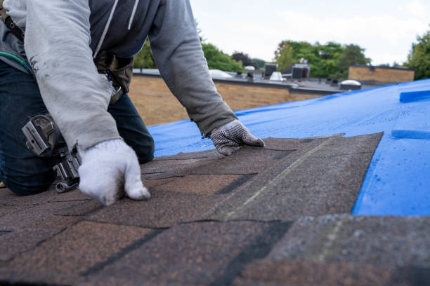 Quick and Trustworthy Emergency Roof Repair Services in Palm Springs North, FL
